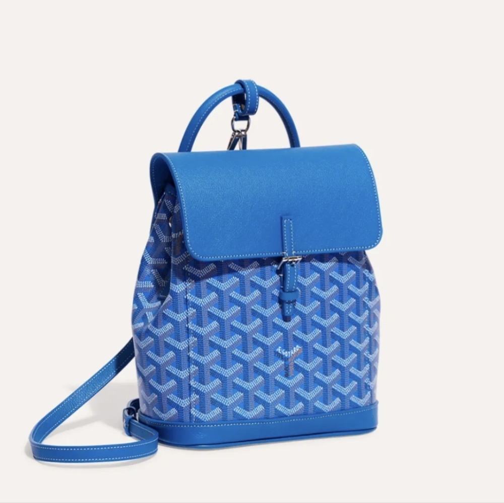 Goyard Alpin mini backpack sky blue